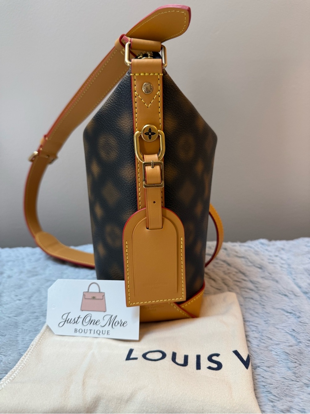 Louis Vuitton Limited Edition Hobo Cruiser PM Blurry Monogram - Picture 2 of 13
